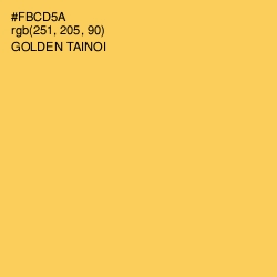 #FBCD5A - Golden Tainoi Color Image